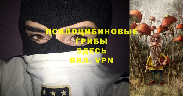 твердый Михайловка